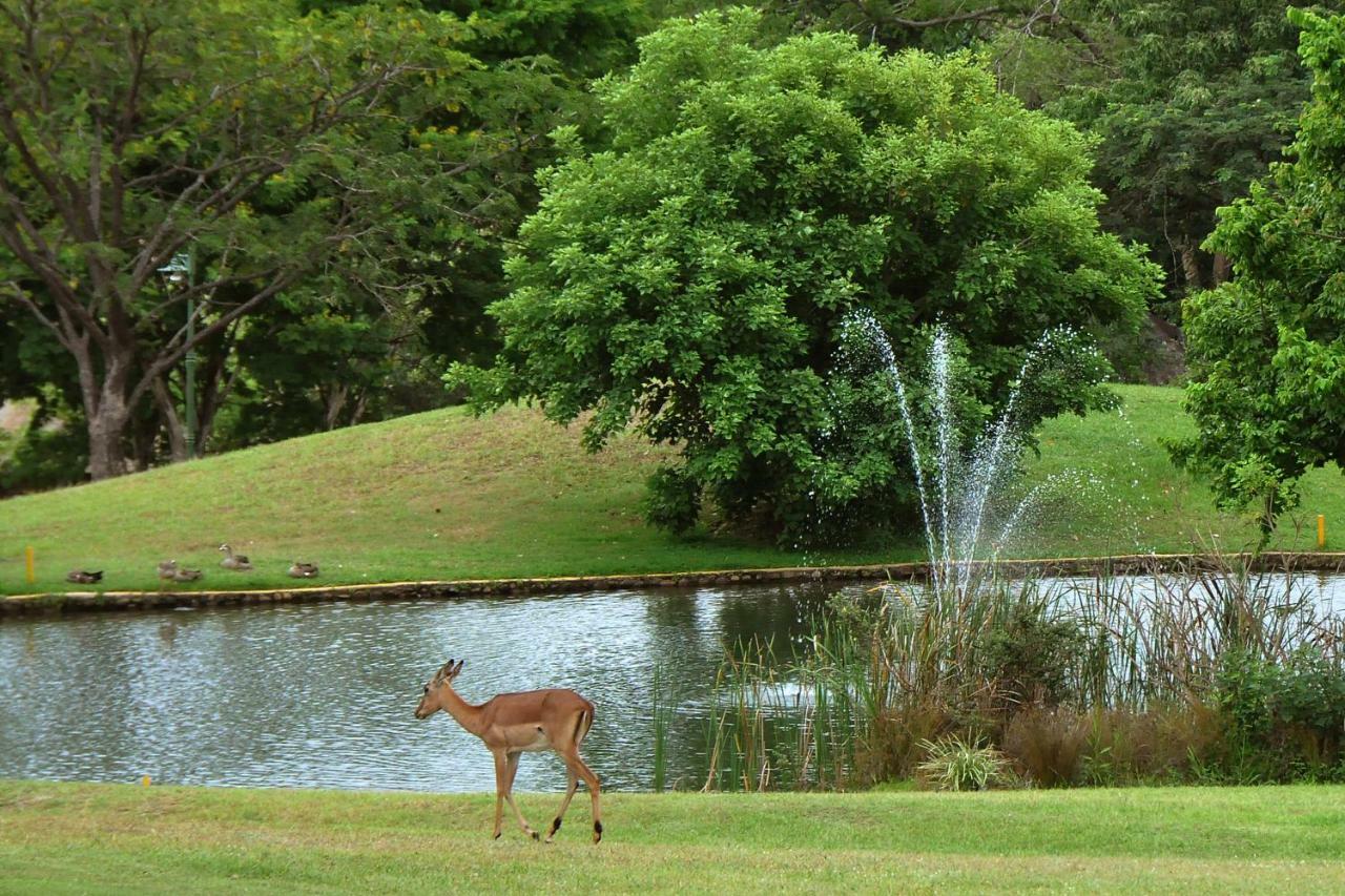 Kruger Park Lodge Unit No. 543 雾观 外观 照片